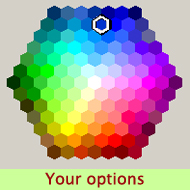Your Options copy.jpg