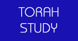 Torah Study.gif